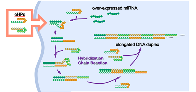 In a World First, Scientists Use Artificial DNA to Kill Cancer Cells