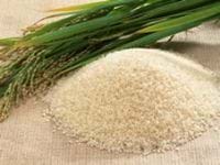 Global Rice Production To Rise By 1.8 Per Cent In 2008 | UN