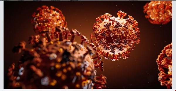 Antibody blocks infection by the SARS-CoV-2 in cells, scientists discover